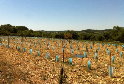 7 Water for Africa projects treated wastewater in Morocco