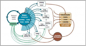 The multidimensional relationship between water stress, food security and socioeconomic development